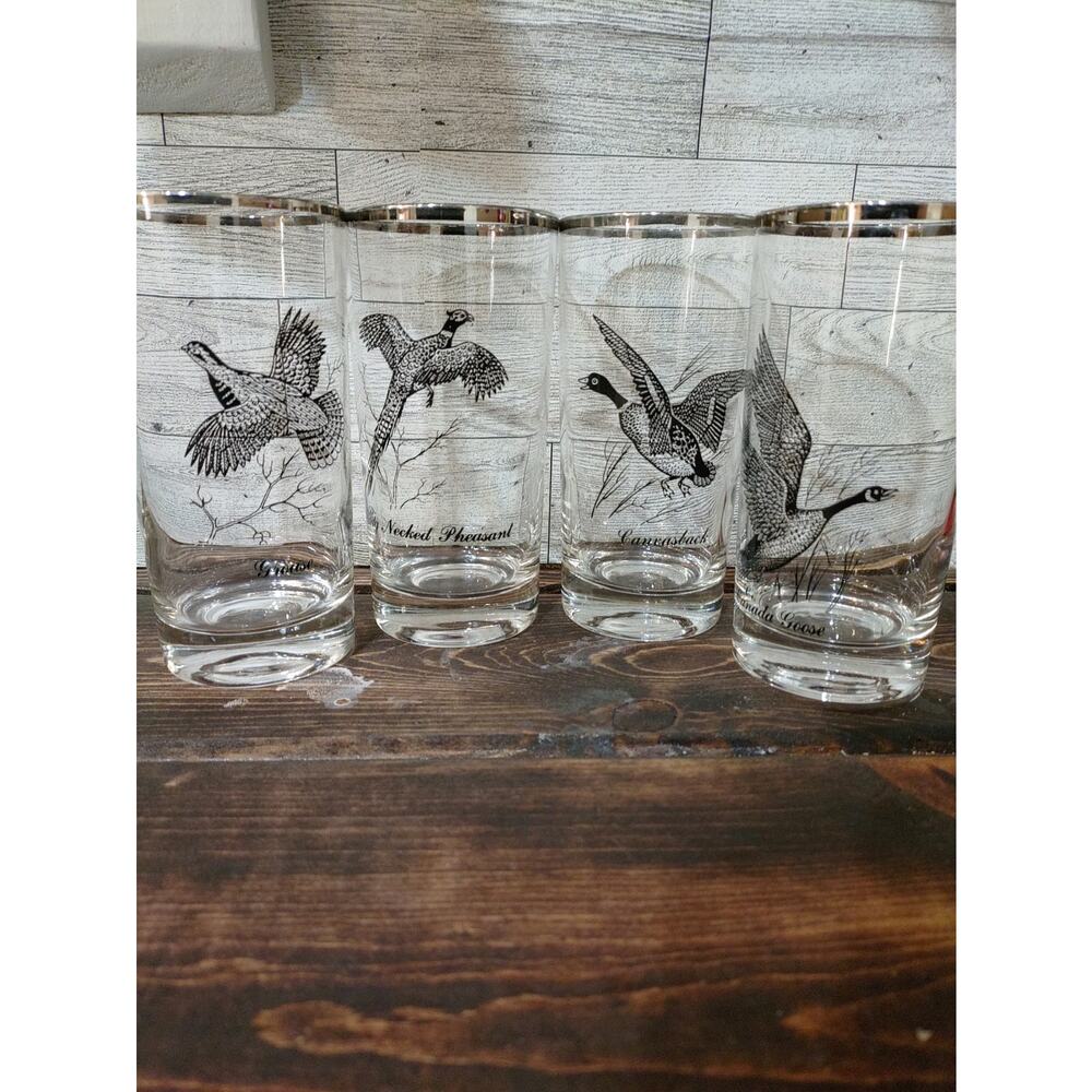 Vintage Libbey Game Birds Tall Tumblers 1960s,  Set of 4, Platinum rim.